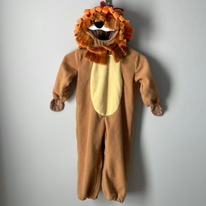 3T Lion Costume